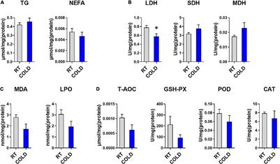 Cold Exposure Affects Lipid Metabolism, Fatty Acids Composition and Transcription in Pig Skeletal Muscle